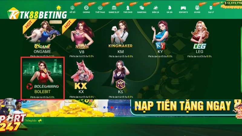 Vài Nét Về Sảnh Game Bole Gaming Tại TK88